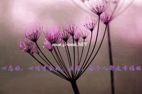 医生个人简单述职报告7篇