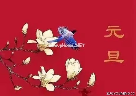 教师优秀自查师德报告5篇