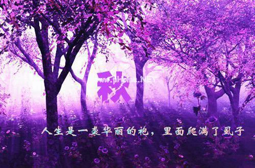 企业高管辞职报告范文5篇