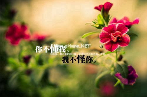 小学教师教学述职报告模板【7篇】