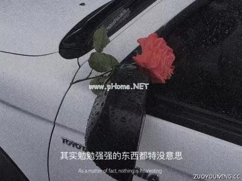 管理者离职报告申请书最新范本8篇