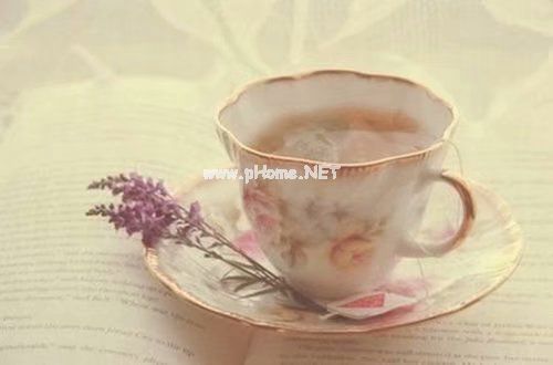 简短的辞职报告范文