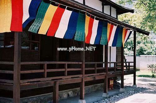 2023教师师德师风自查报告范文10篇
