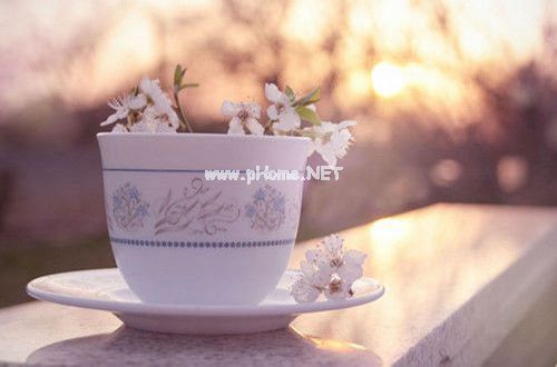 临时工辞职报告范文