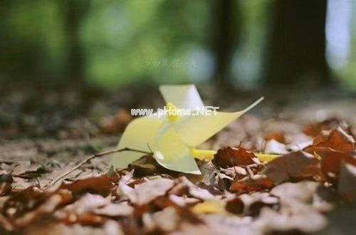 离职告知函范文3篇