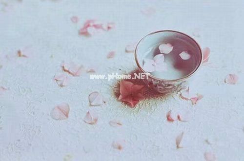 2023教师个人师德师风自查报告5篇