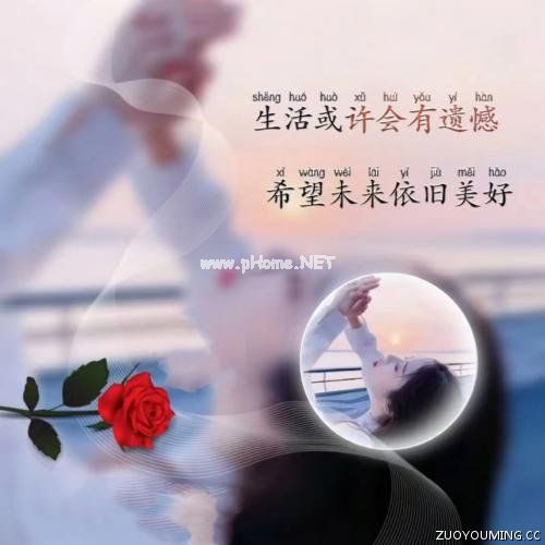 关于大学生网购调查报告2023范文大全