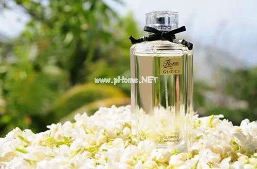 师德师风自查报告不足之处优秀7篇