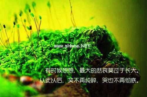 关于项目自查报告(5篇)