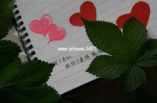 电脑销售实习日记范文汇总
