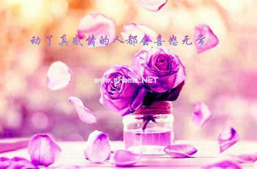关于农村生活现状调查报告_关于农村生活现状调研汇报5篇最新