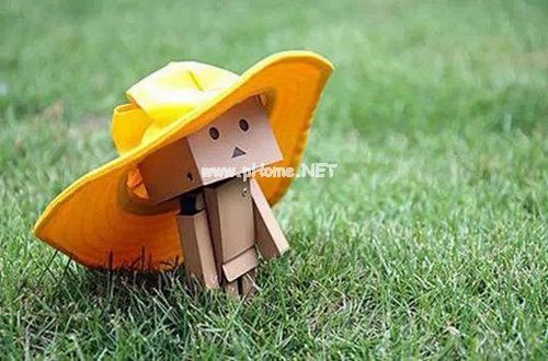 个人年终述职报告经典模板范文