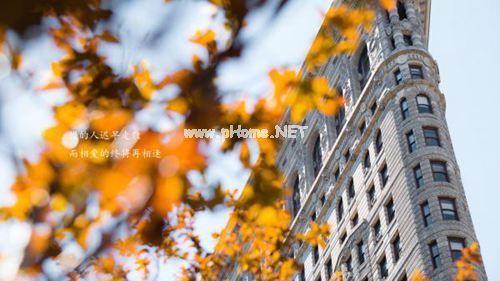 2019年关于保险社会调查报告经典参考范文【五篇】