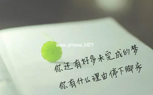 2019年最新初中生寒假社会调查报告精选范文5篇【参考】