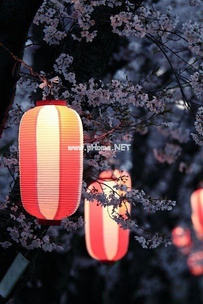 个人辞职报告简单版最新七篇