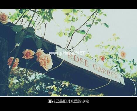 个人原因员工2021辞职报告