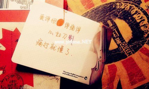 最新生态环境整改工作报告7篇