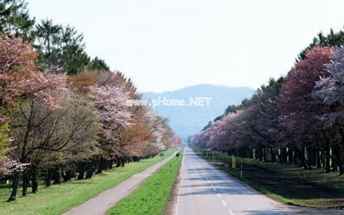 2021年度工作完成情况自查报告范文5篇