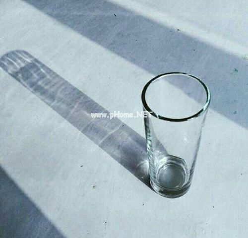 功能性食品调查报告