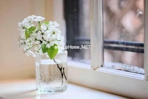 员工个人辞职报告书模板(7篇)