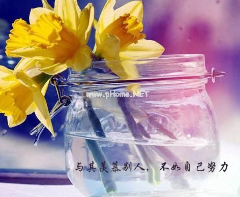 统计自查报告2019热门模板精选5篇汇总