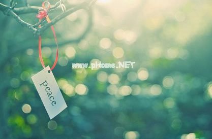 2021小学教师辞职报告范文五篇