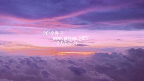 2019年关于毕业生就业方向调查报告优秀