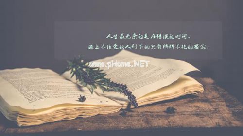 2019关于毕业生就业需求情况调查报告最新5篇