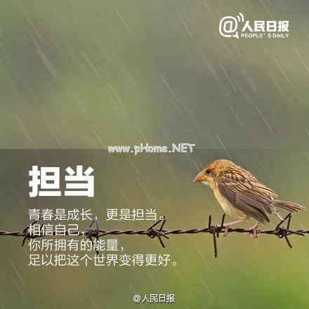 2021年度行政执法案卷评查自查报告5篇【通用】