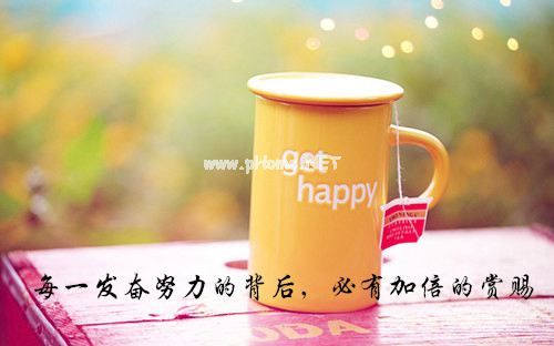 小学教师的辞职报告范文五篇