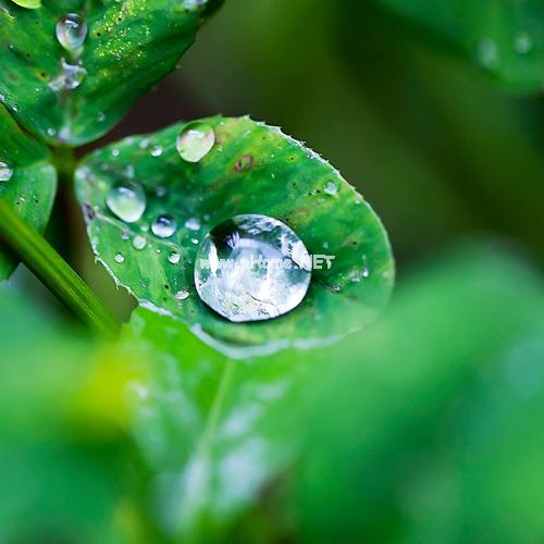 2019年春节消费调查报告范文5篇