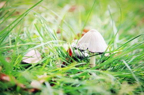 工程竣工验收报告最新完整版8篇