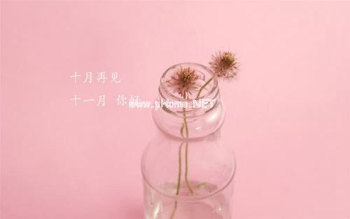 师德师风自查报告(通用版)五篇