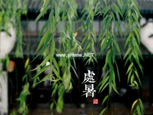 2022个人辞职报告范文大全