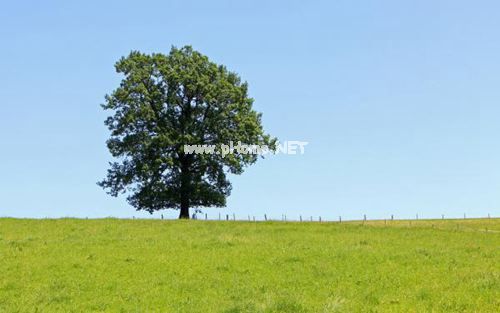 安全科长个人述职报告范文5篇