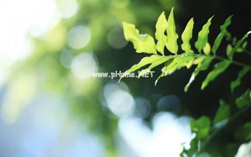 分享2019最新保密检查自查报告优秀参考范文五篇汇总