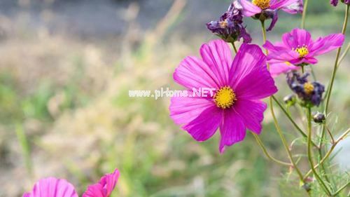 医院主管药师述职报告5篇
