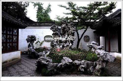 餐饮辞职报告书