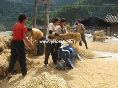 初级会计师的工作报告范文5篇