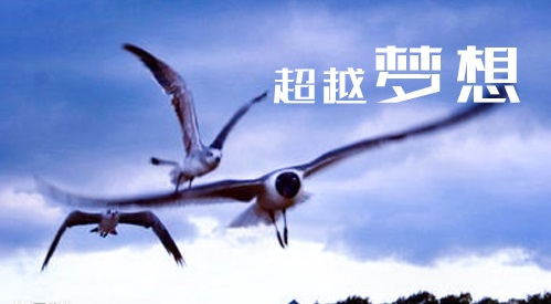 感恩上网课老师的励志话语