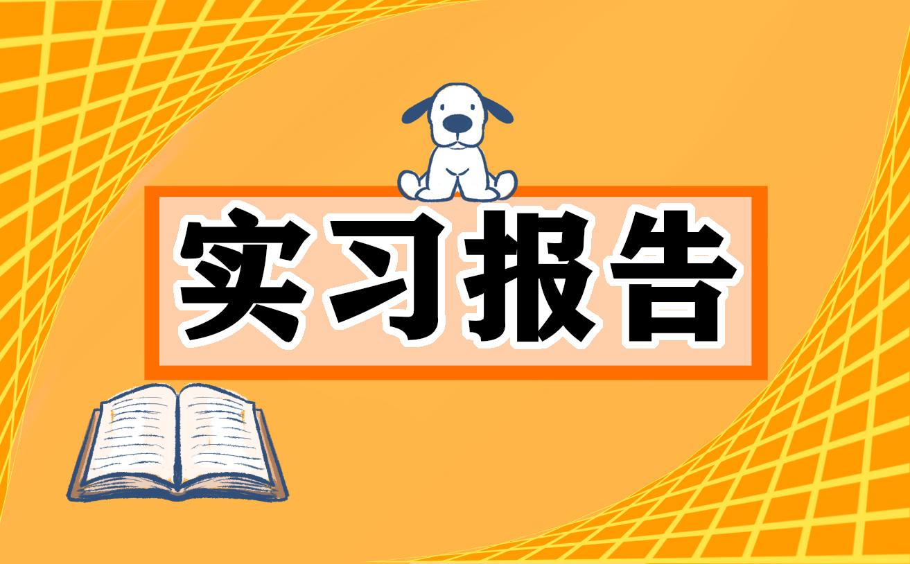 2023会计专业顶岗实习报告模板（7篇）