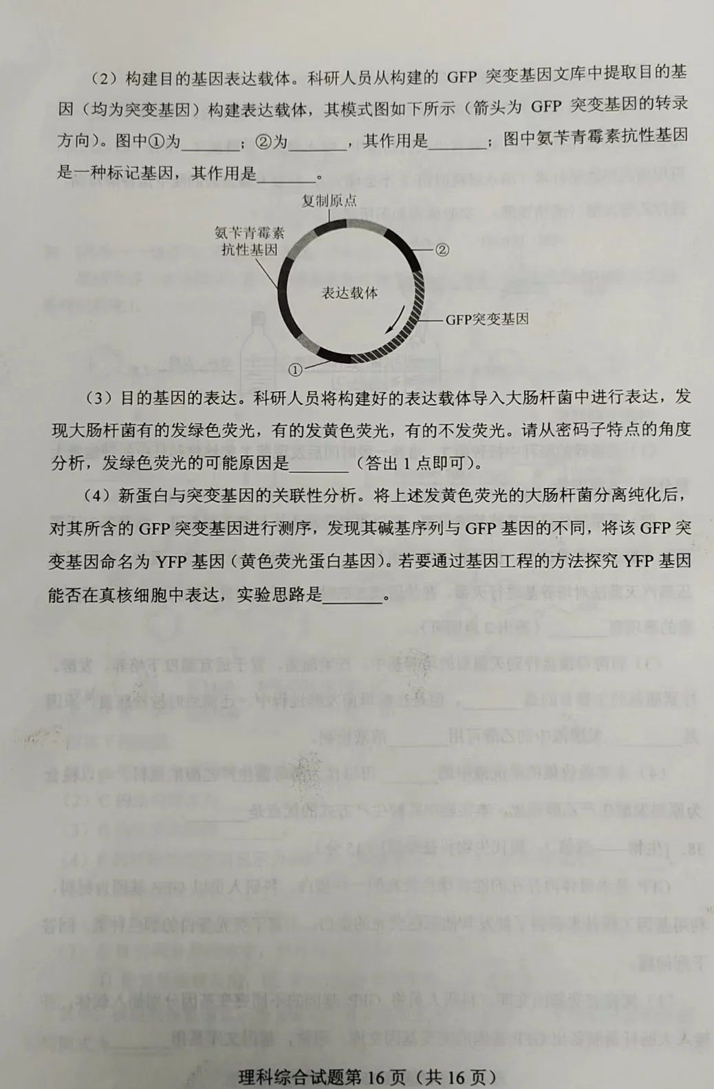 2023河南高考理综生物试卷