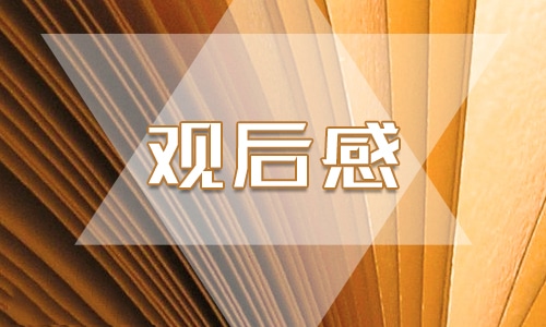 有关职场上安全教育800字观后感5篇