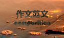 14岁的我初二作文600字