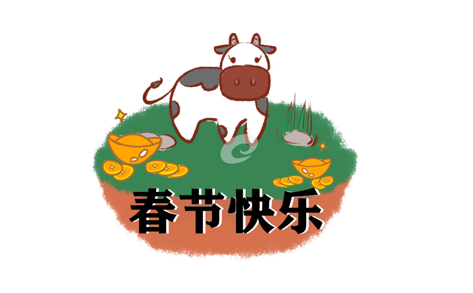 2022我家这样过年作文650字以上5篇