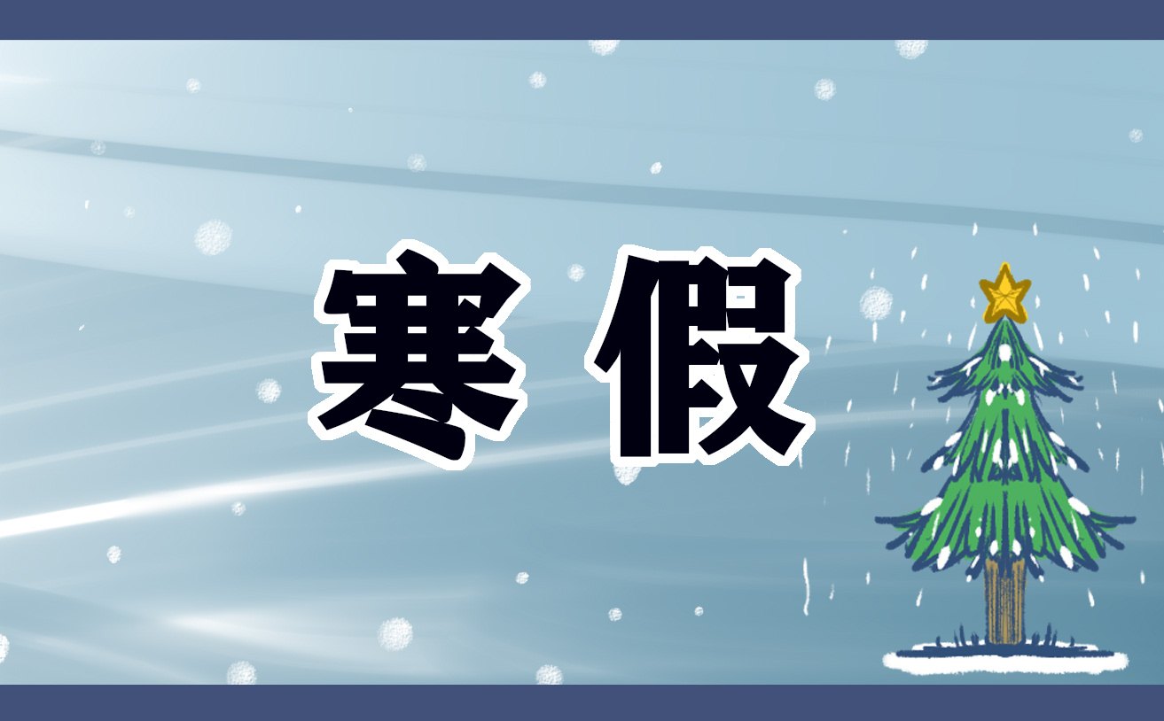 寒假学生日记