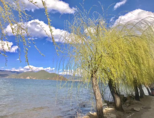 形容夏天风景的好句