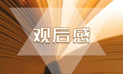 看电影《你的名字》的个人观后感400字7篇