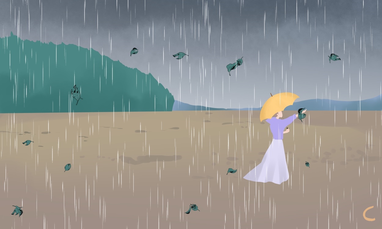 下雨天短句文案(200句)