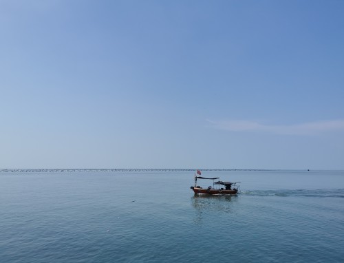 天气凉了树叶黄了说说